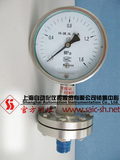 YPF-150B-F膜片压力表　上海自动化仪表四厂​